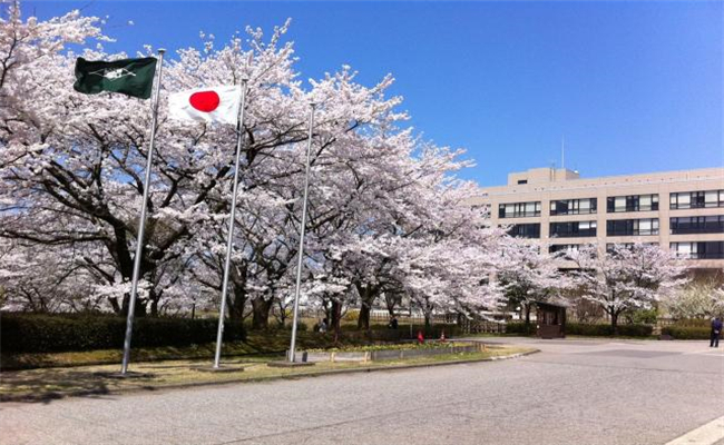 去日本留学需要什么条件?日本留学需要担保人吗?